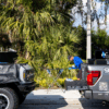 Auto glass technician working on vehicle repair in Florida, surrounded by palm trees and service trucks.